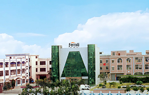 集團(tuán)在中國(guó)